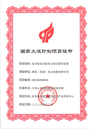 National torch program project certificate